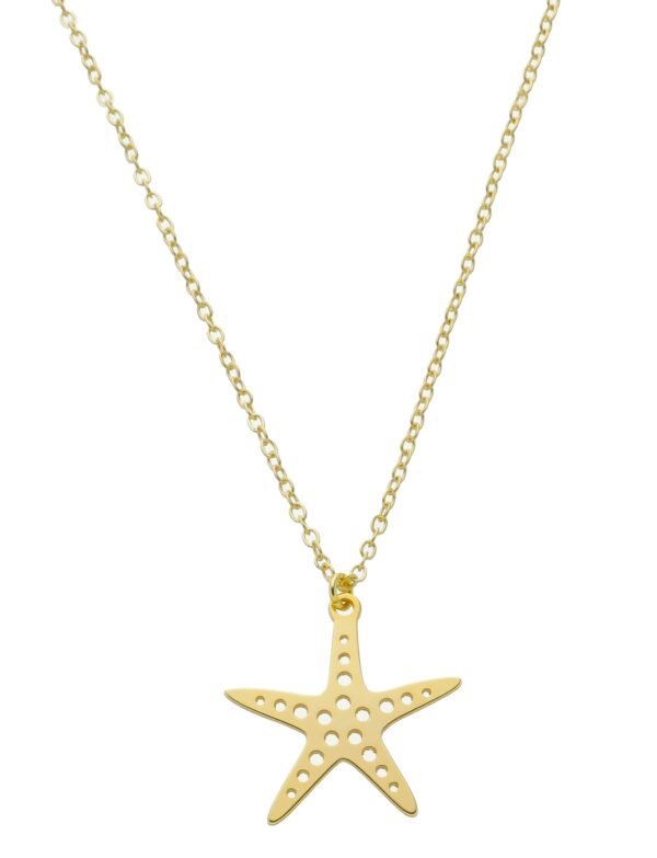 Pingente Estrela do Mar Banhado a Ouro 18k